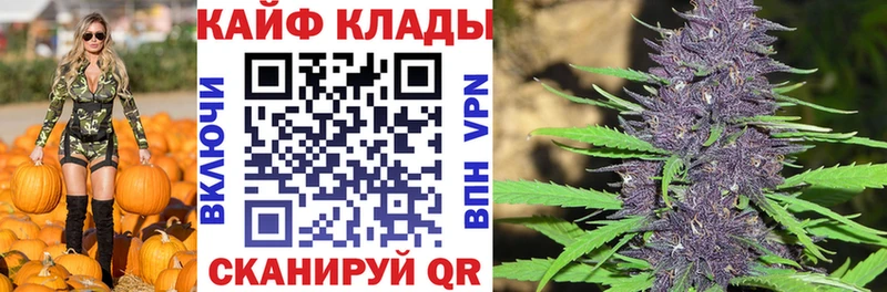 Где продают наркотики Пионерский APVP  KRAKEN зеркало  МЕФ 