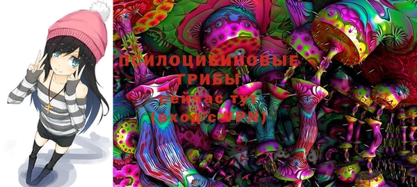 spice Богданович