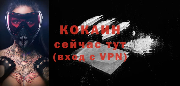 mix Богородицк