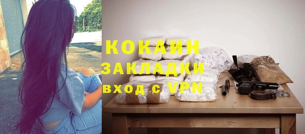 spice Богданович
