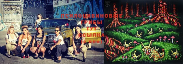 spice Богданович