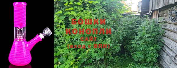 spice Богданович