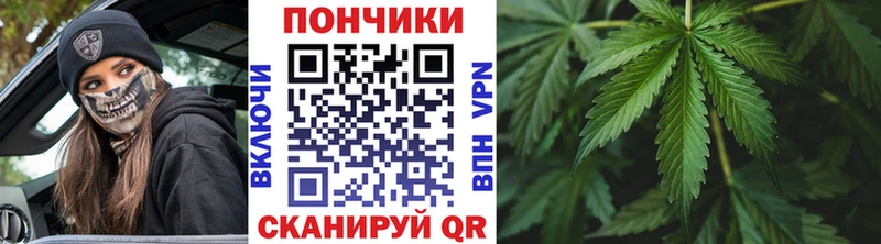 Конопля планчик  Пионерский 